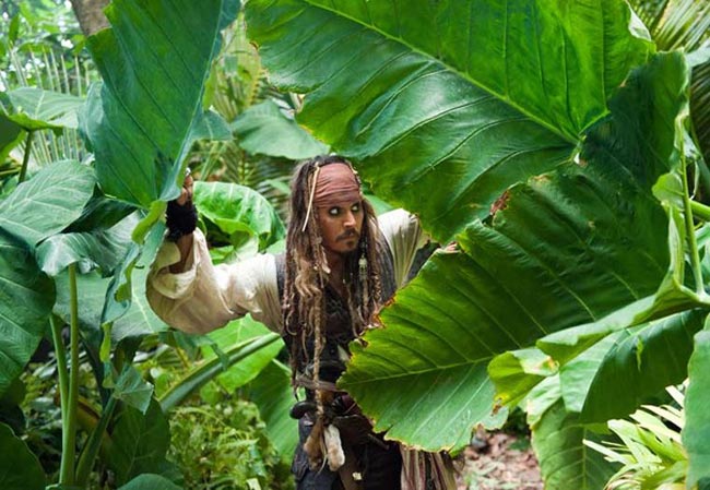 johnny depp pirates 4. (Johnny Depp) in Pirates