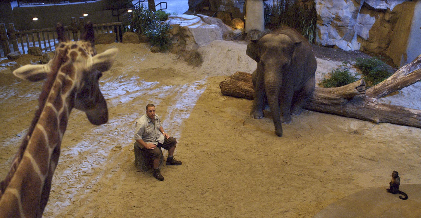 14 New Hi-Res Zookeeper Photos - FilmoFilia