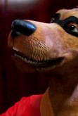 Hong Kong Phooey