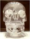 Crystal Skull