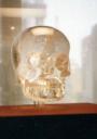 Crystal Skull