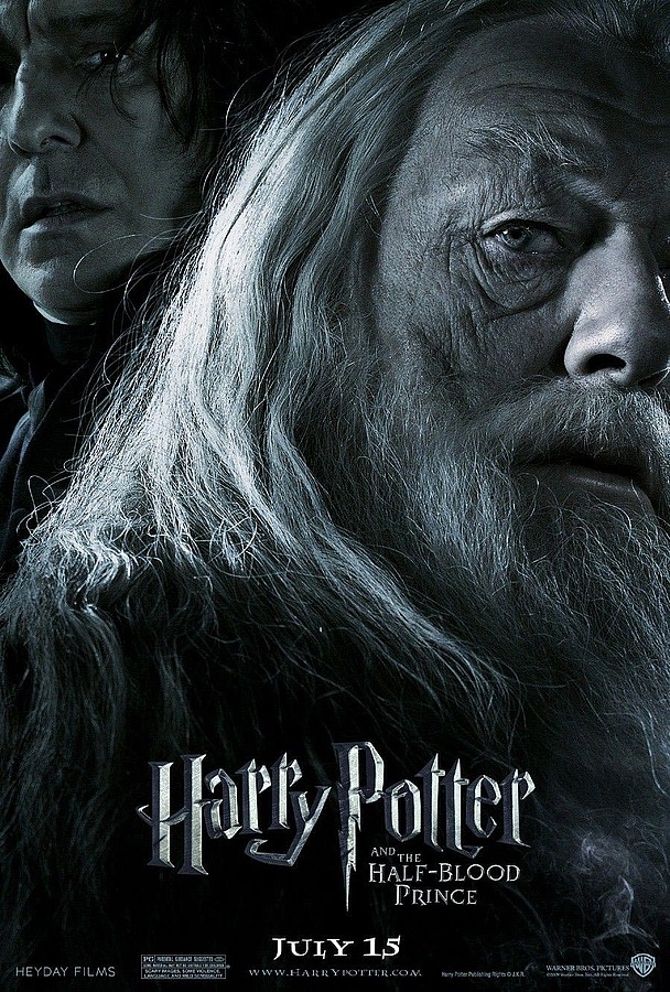 Brand New Harry Potter 6 Posters – FilmoFilia
