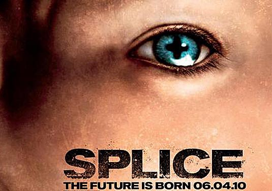 Splice