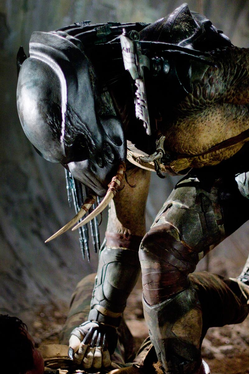 Predators Photo