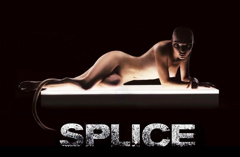 Splice