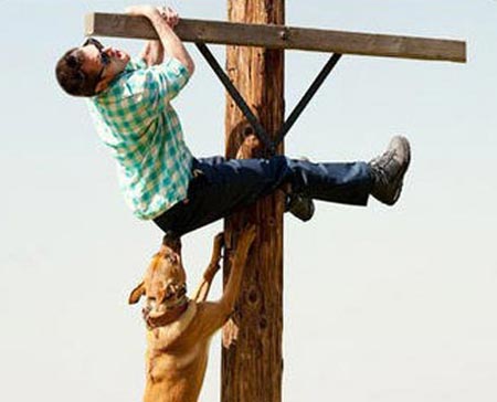 Jackass 3D Jackass 3D