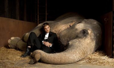 Robert Patinson in Water for Elephants