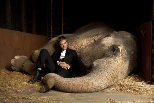Robert Patinson in Water for Elephants