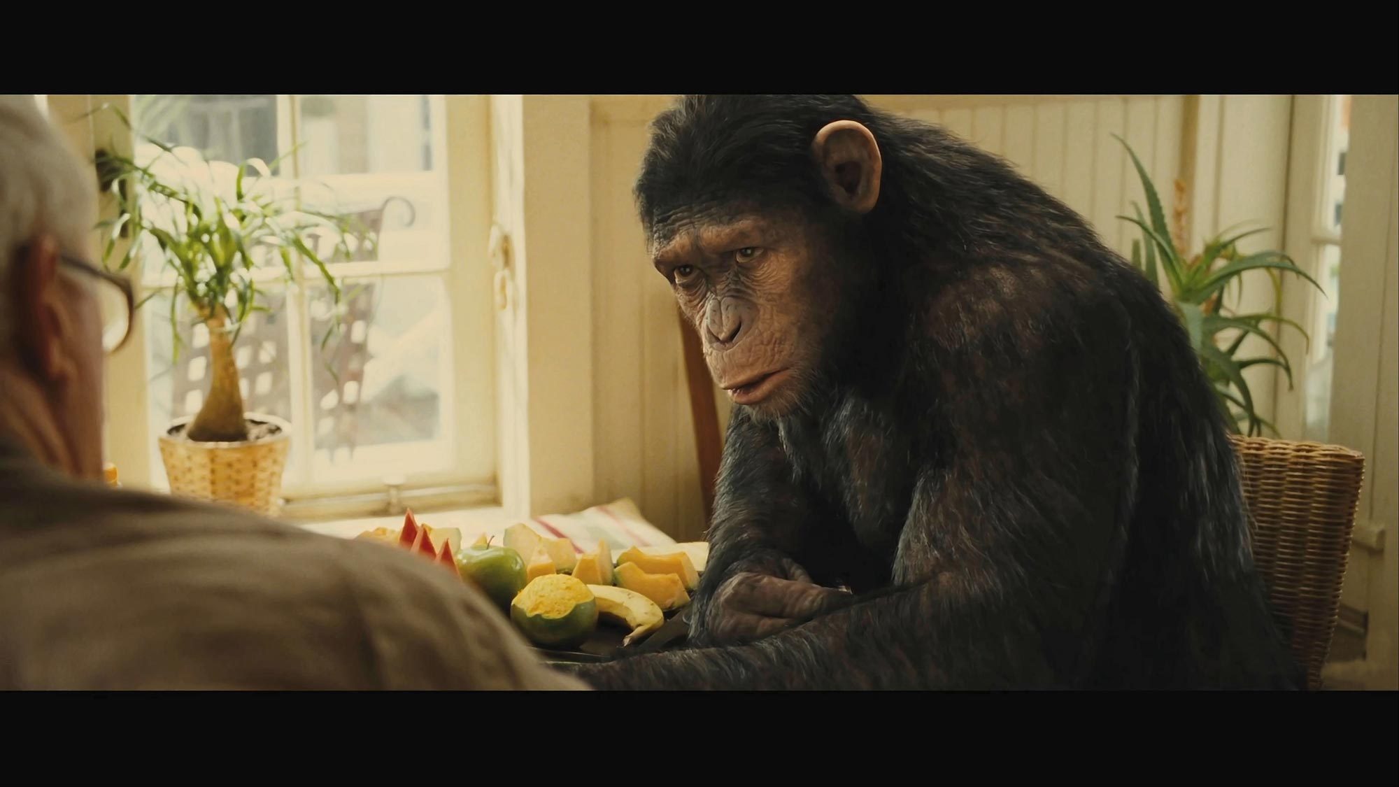 Человек обезьяна название. Восстание планеты обезьян Джон Литгоу. Восстание планеты обезьян 2011.