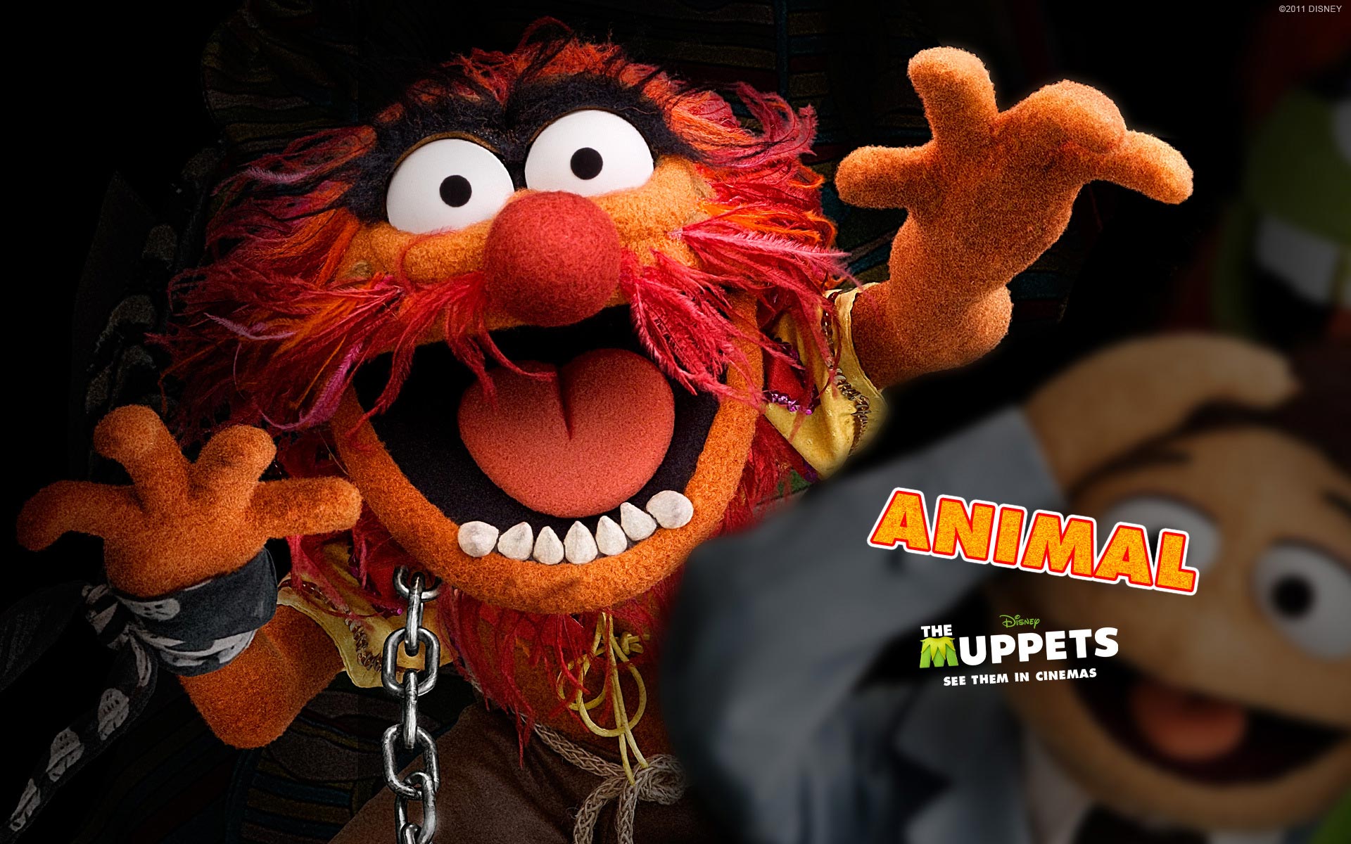 Animal, The Muppets Wallpaper