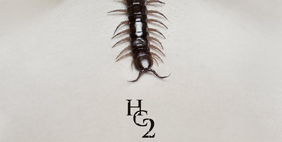 THE HUMAN CENTIPEDE 2
