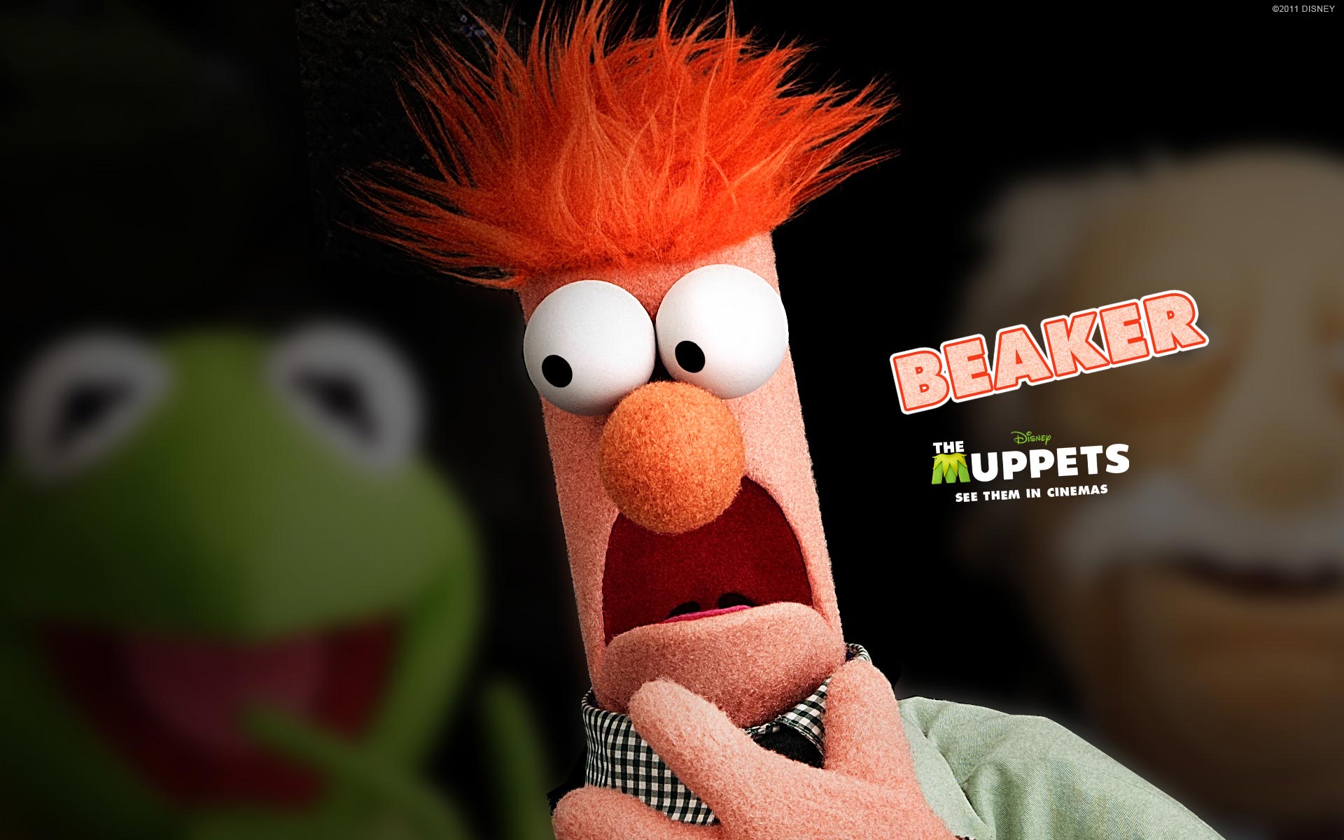 Baker, The Muppets Wallpaper 1920x1200