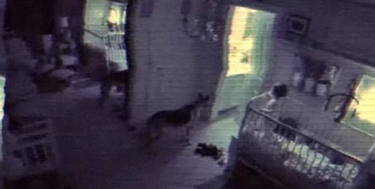 Paranormal Activity