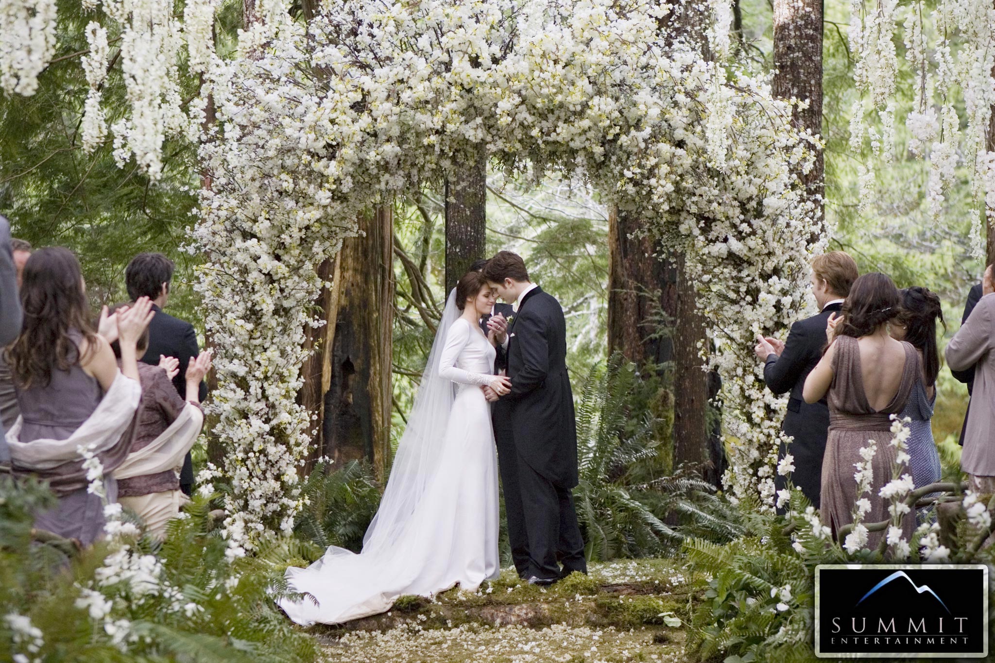 THE TWILIGHT SAGA: BREAKING DAWN – PART 1