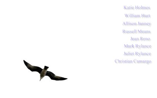 The Seagull