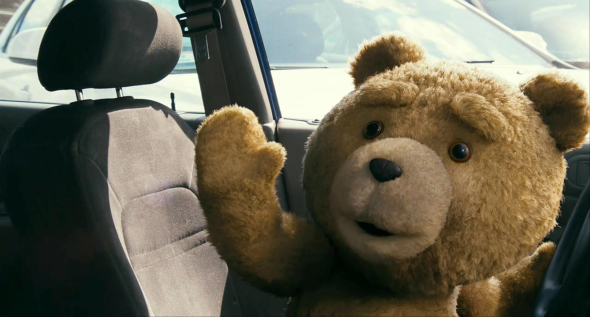 TED movie photo