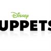 The Muppets 2 Banner