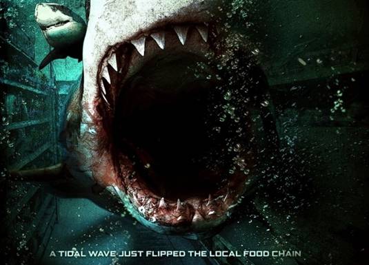 Bait_Poster_Detail