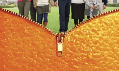 The Oranges Poster