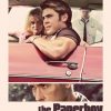 The Paperboy