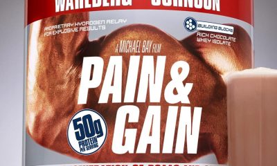 Pain and Gain Poster