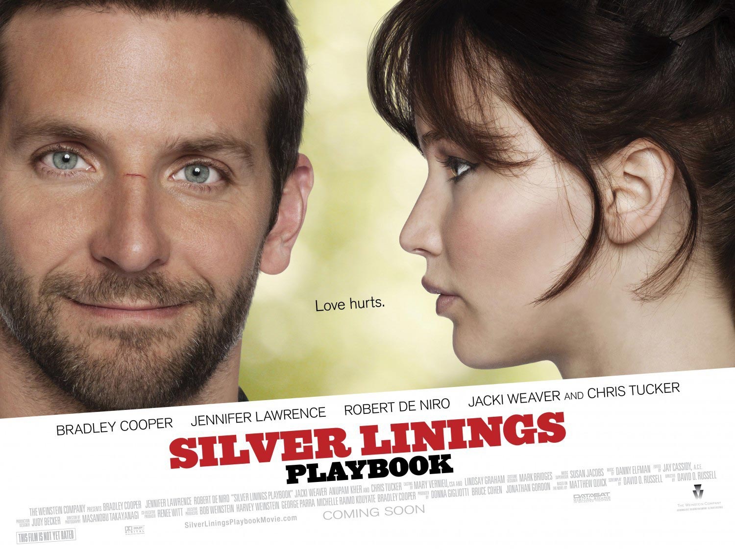 Silver Linings Playbook Poster