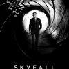 Skyfall, Poster