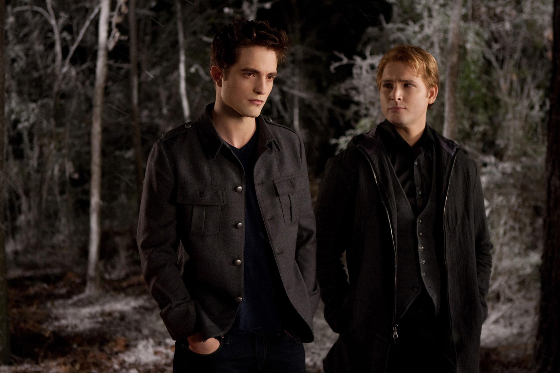 Twilight Saga: Breaking Dawn - Part 2