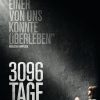 3096 Poster