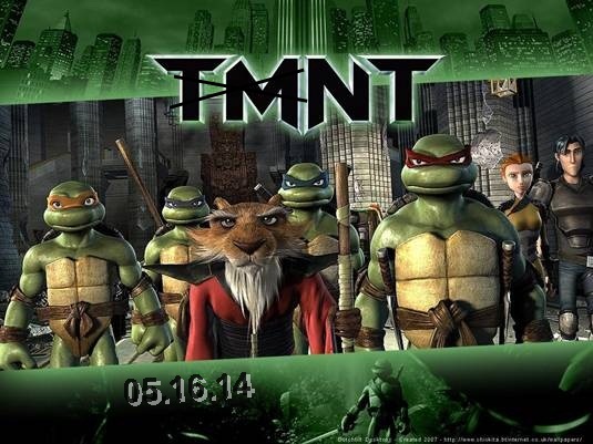 Ninja Turtles Ninja Turtles