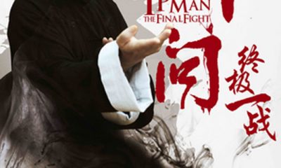 Ip Man: The Final Fight poster