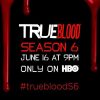 True Blood Season 6 promo