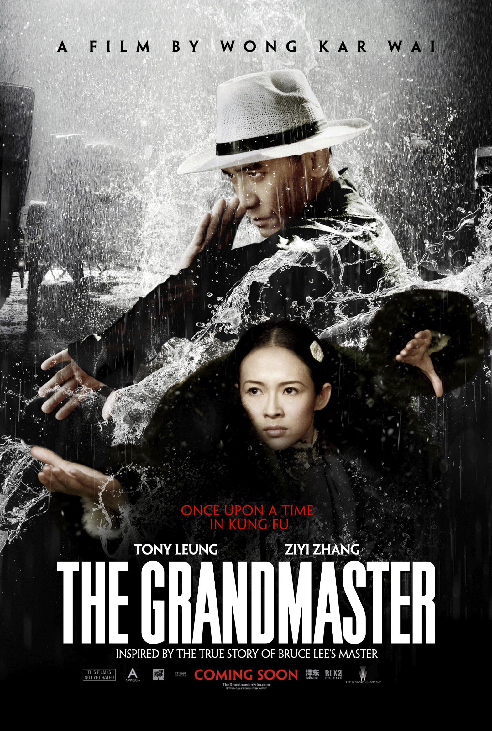 The Grandmaster Poster