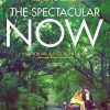 The Spectacular Now Poster