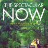 THE SPECTACULAR NOW Poster