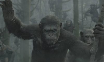 Dawn of the Planet of the Apes Image