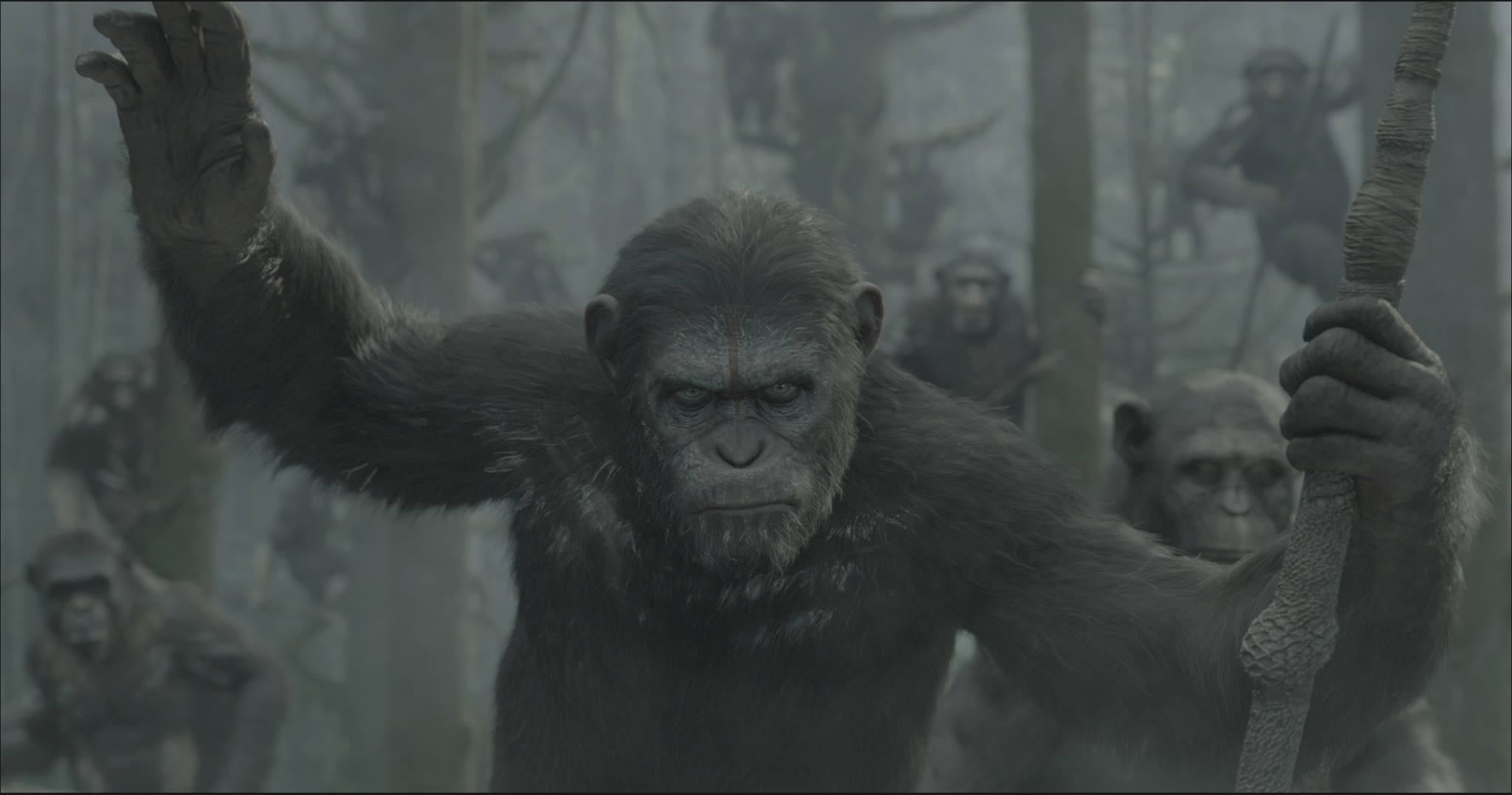 Dawn of the Planet of the Apes Image