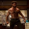 The Wolverine (2013)