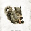 Squirrels Poster