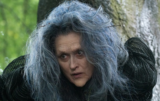 INTO THE WOODS INTO THE WOODS