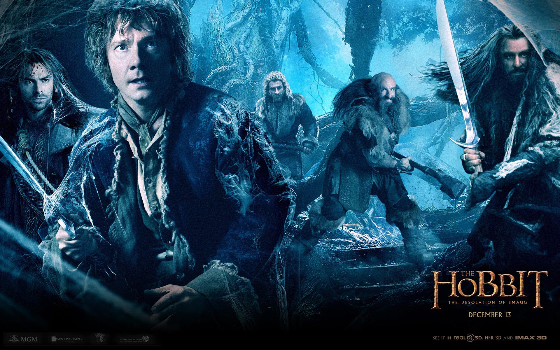 Hobbit: The Desolation Of Smaug Wallaper