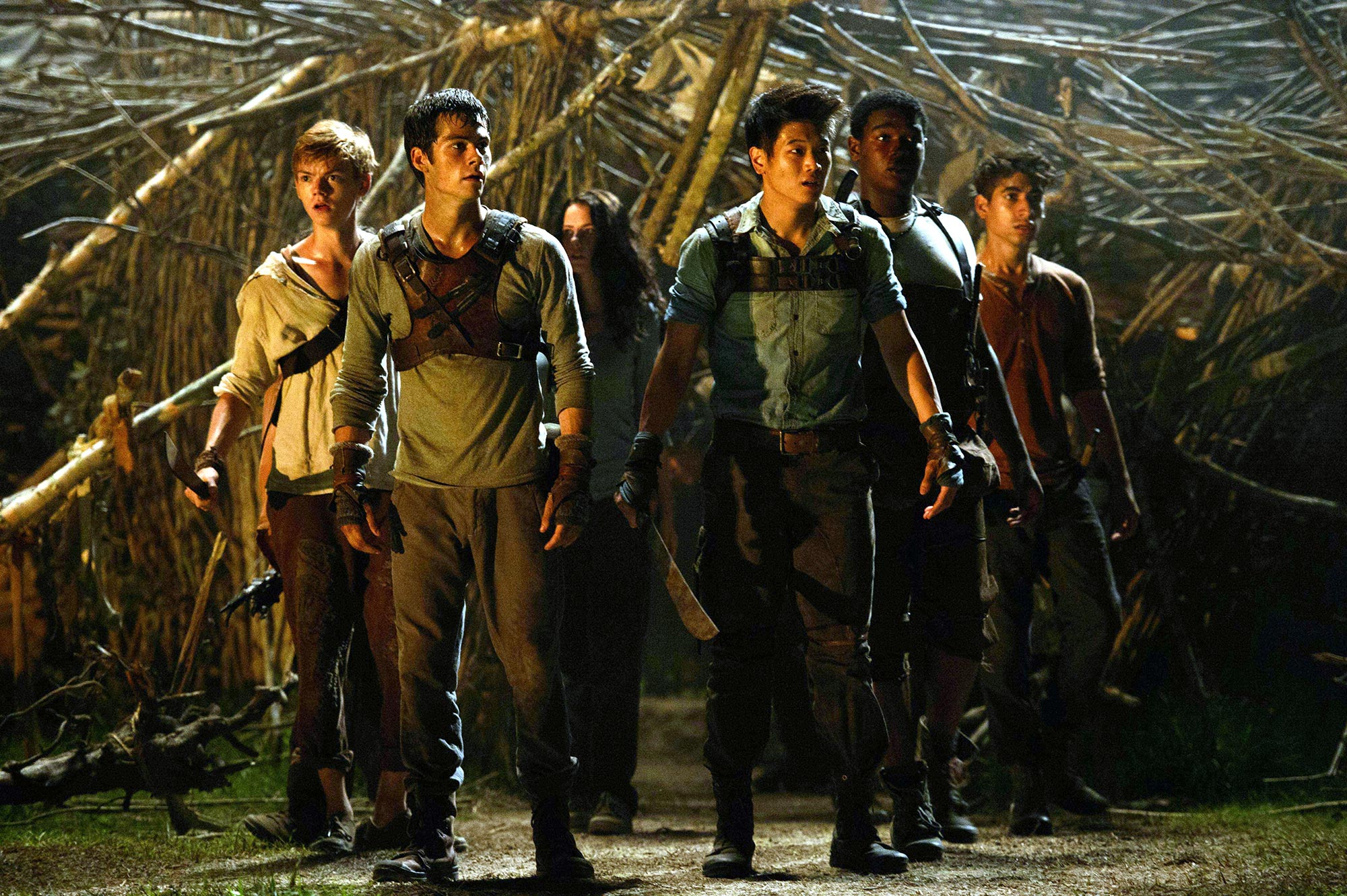 THE MAZE RUNNER