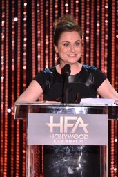 19th Annual Hollywood Film Awards in Beverly Hills Red Carpet – Amy Poehler