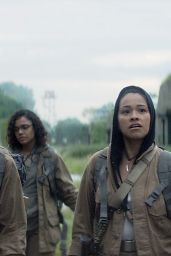 ANNIHILATION Photos and Trailers