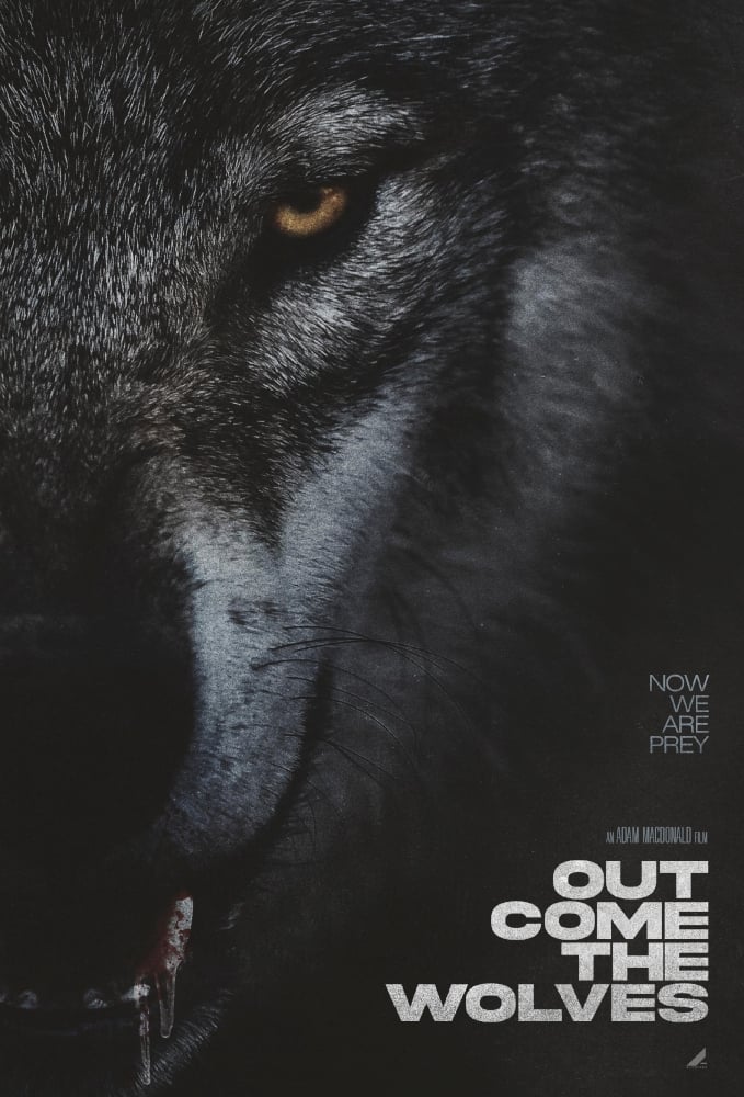 Out Come the Wolves Poster