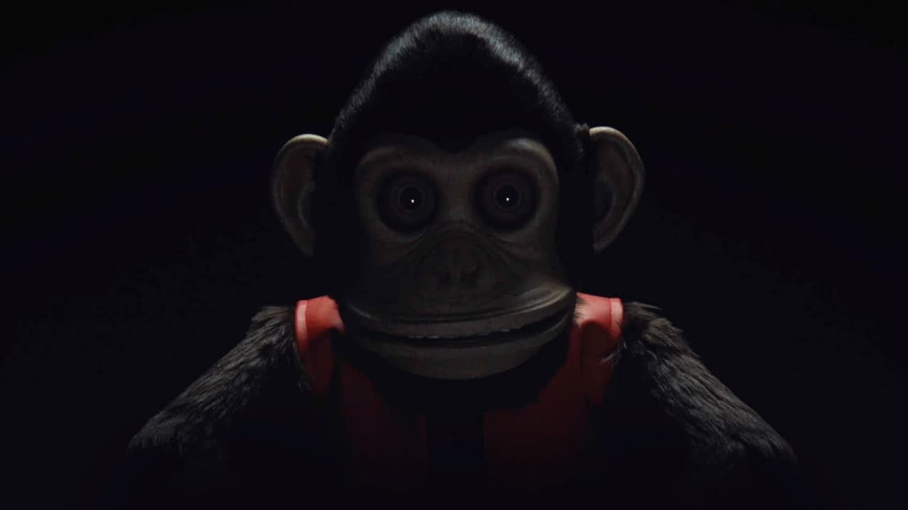 The Monkey Photo