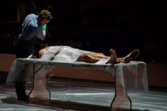 Dexter Original Sin