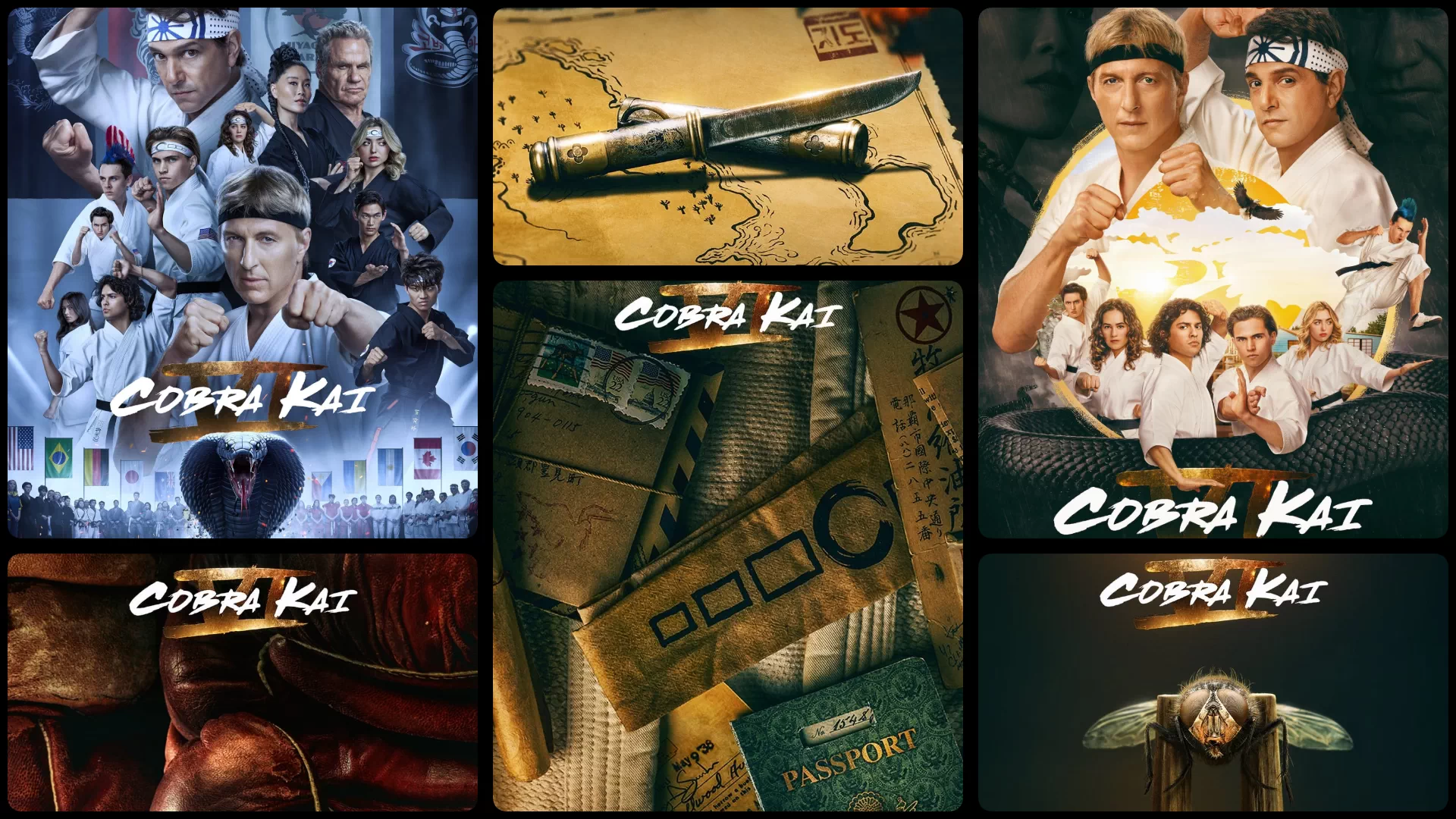 Date De Sortie Cobra Kai Saison 6 Partie 3 www.filmofilia.com