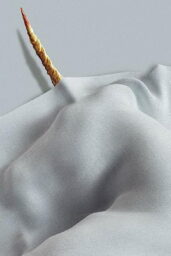 Death of a Unicorn