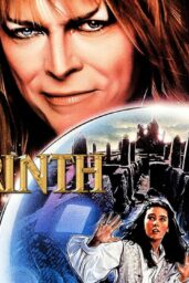 Labyrinth